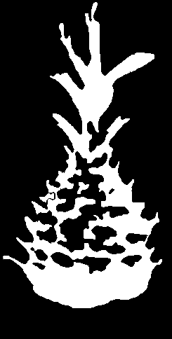 Chicago Style Architecture Displayed Organically