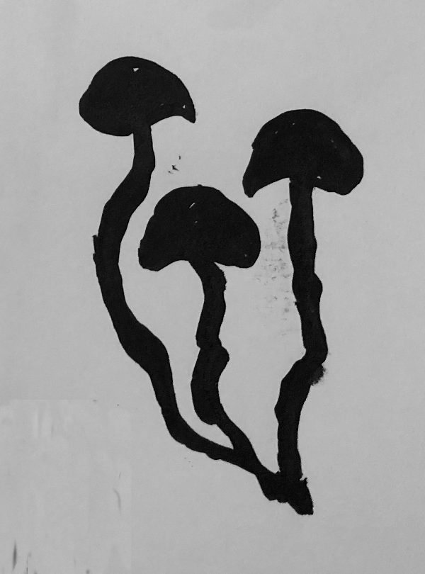 Wild Mushrooms on The Road to Rome