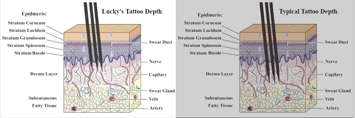 Tattoo Depth Comparison | Tattoo Safety and Health | Tattoo Pain and Healing